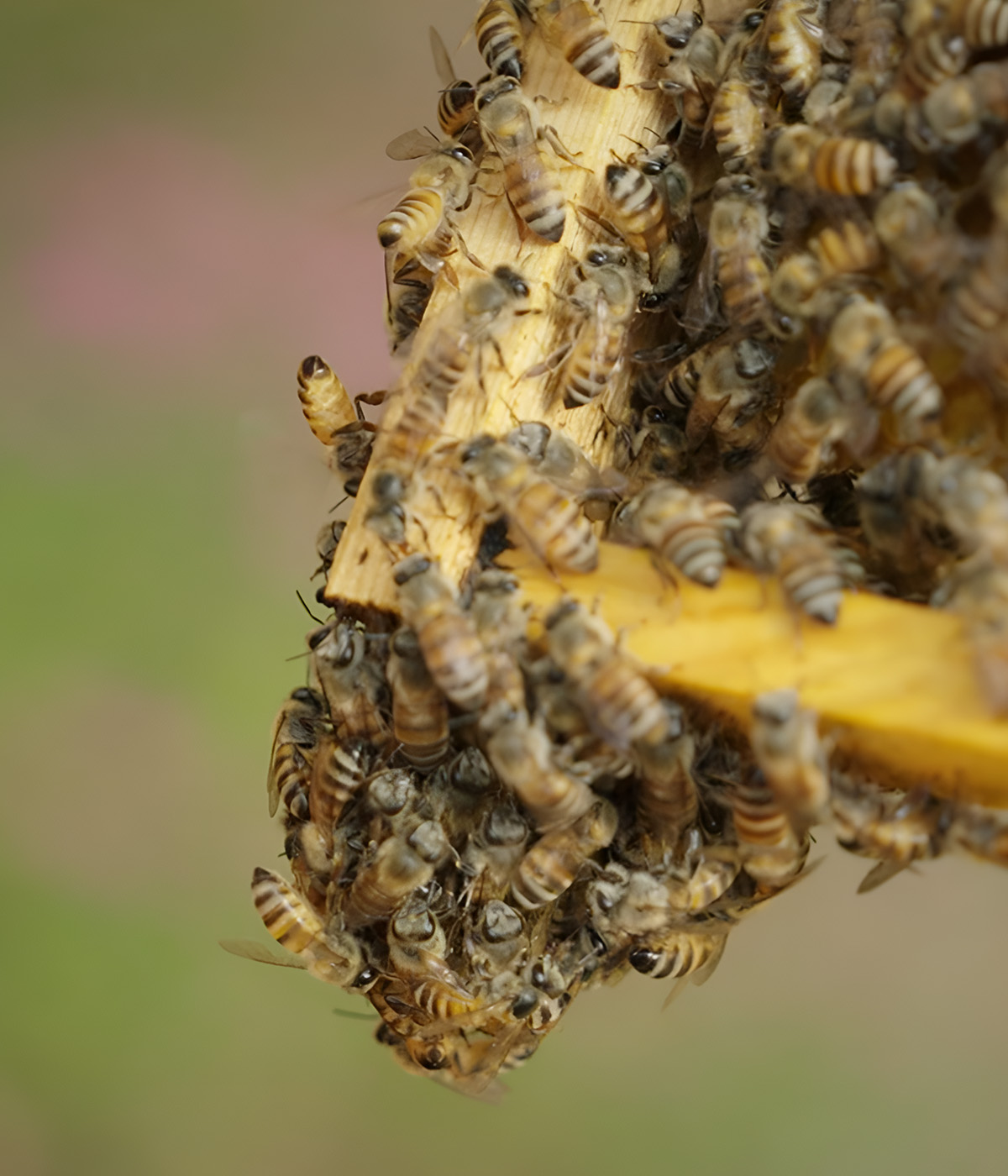 Workshops and activities