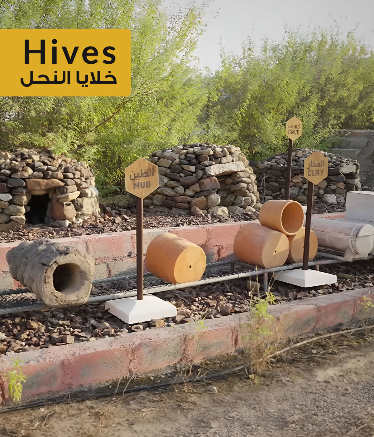 Sustainable beekeeping